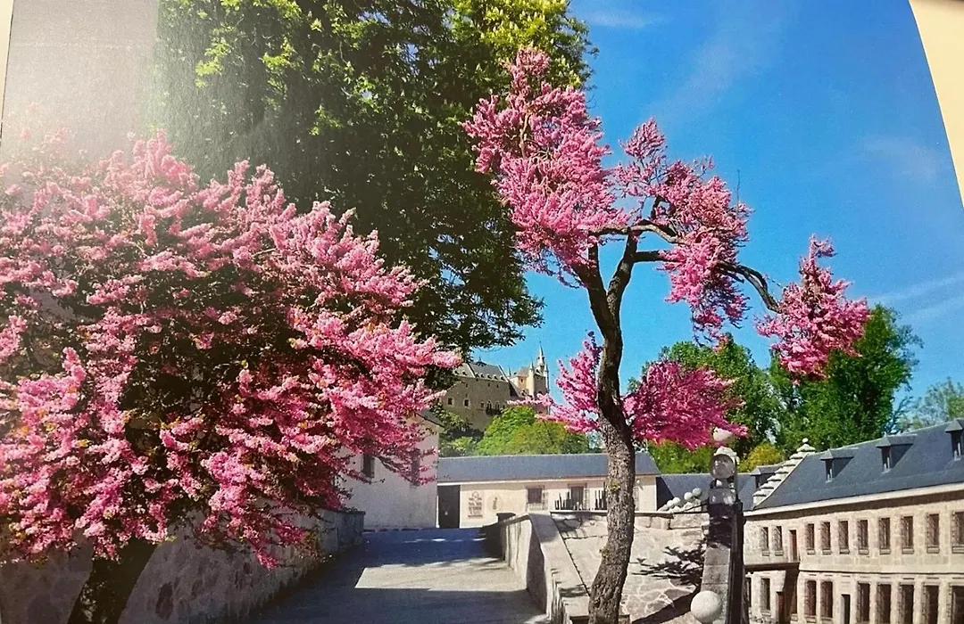 El Jardín de la Alegría-1